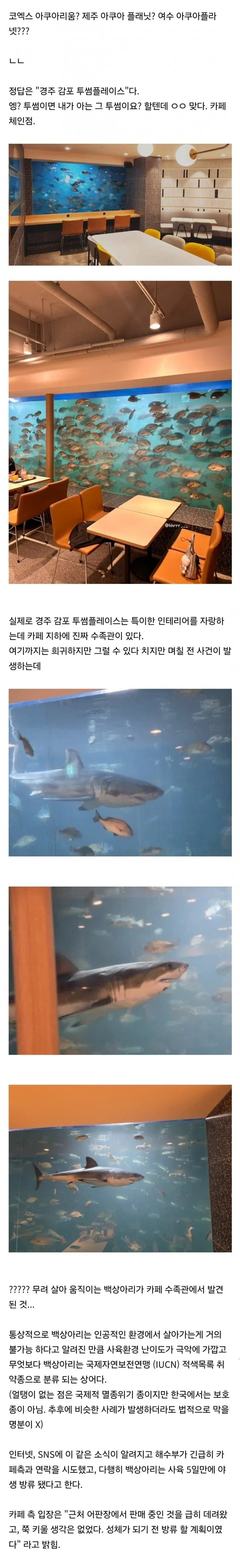 5일간 전세계 1위급이었던 한국 수족관 1