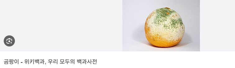 퀴즈의 정답은