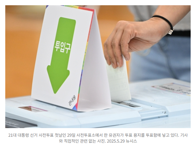“두번 투표해야 하는 줄” 이중투표 시도한 유권자들…항소심도 벌금형 1