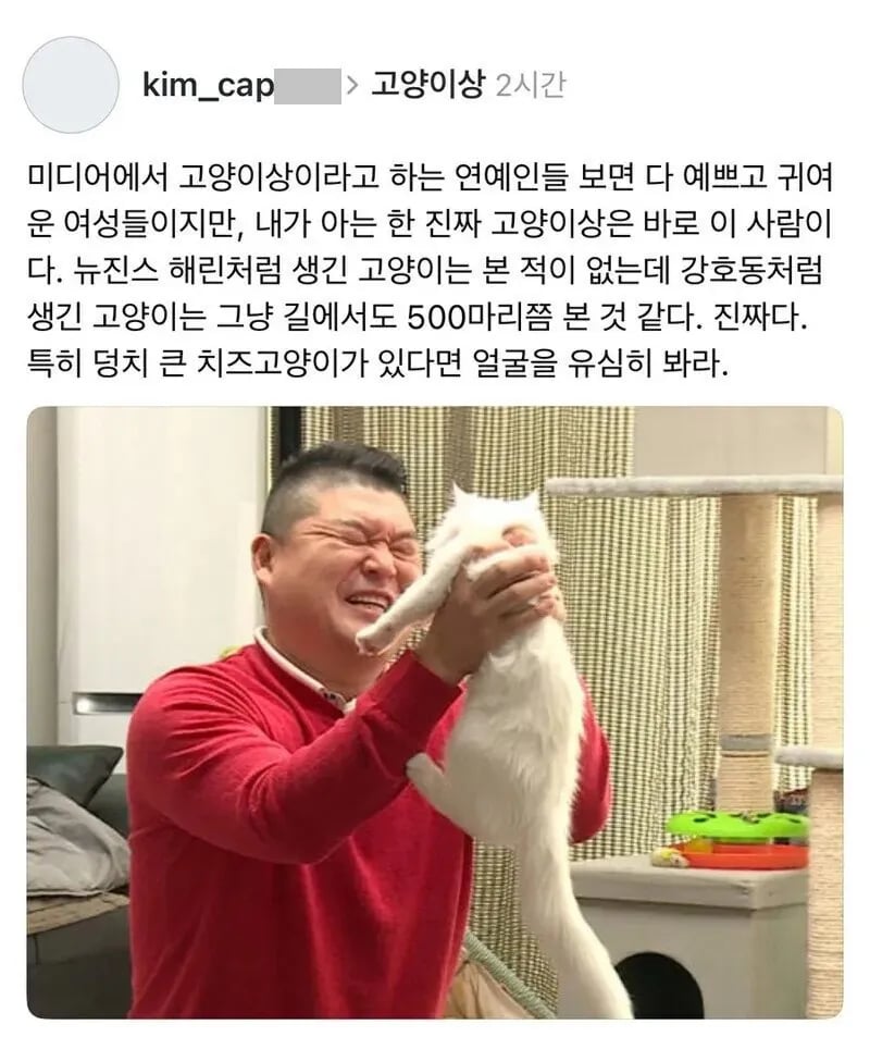 반박불가 연예인 최고 고양이상 1