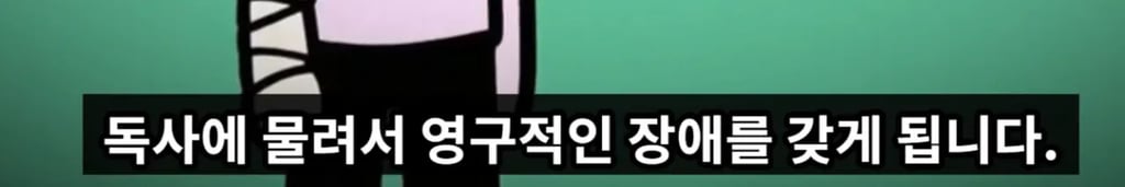 독사에게 물려 매년 10만명 이상 죽는 이유 19