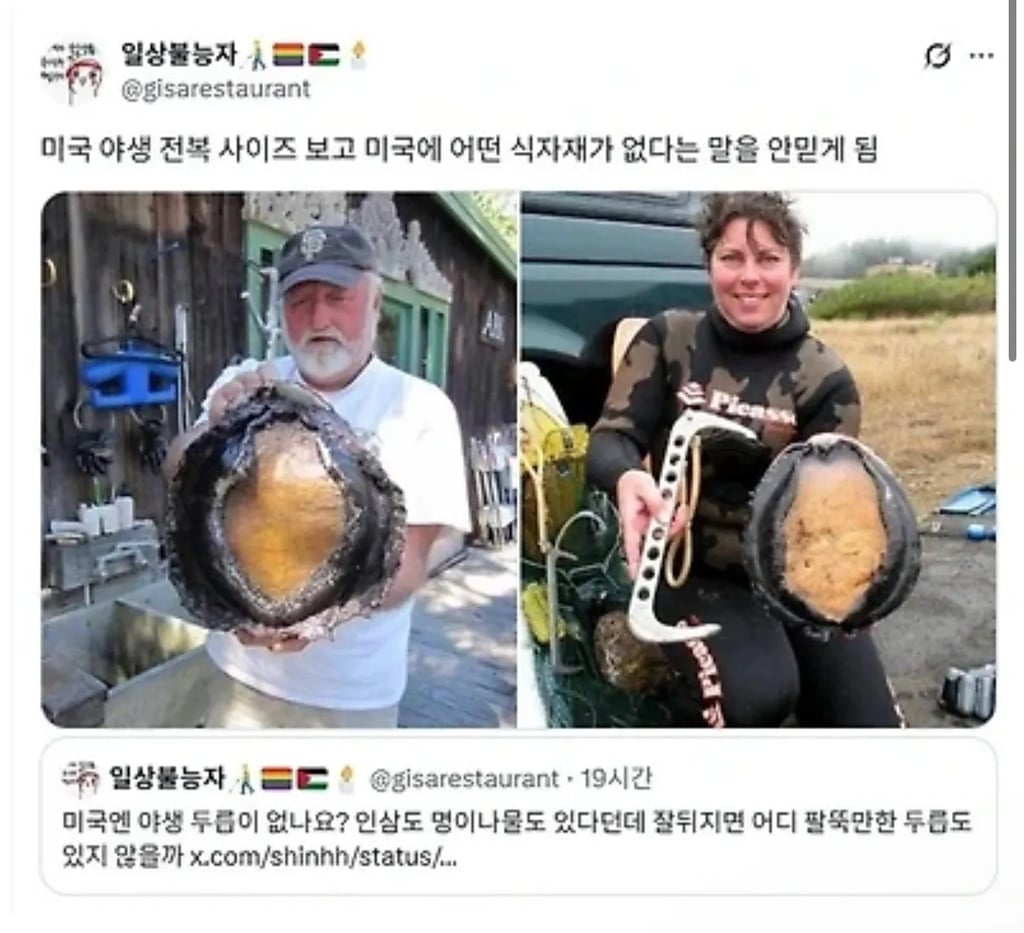 미국 야생 전복 사이즈 ㄷㄷ