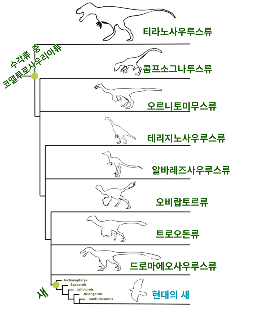 치킨도 공룡이라는 충격적 사실ㄷㄷ 8