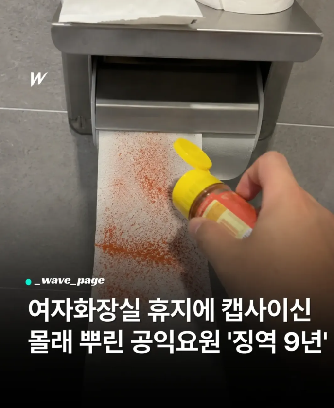 여자 화장실 휴지에 캡사이신 몰래 뿌리고 몰카 설치한 공익 징역 9년