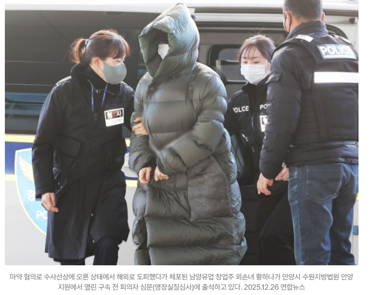 ‘추징금 2만원이 더 놀랍다’…엄마 된 황하나, 마약 재범에도 ‘벌금형 석방’ 2