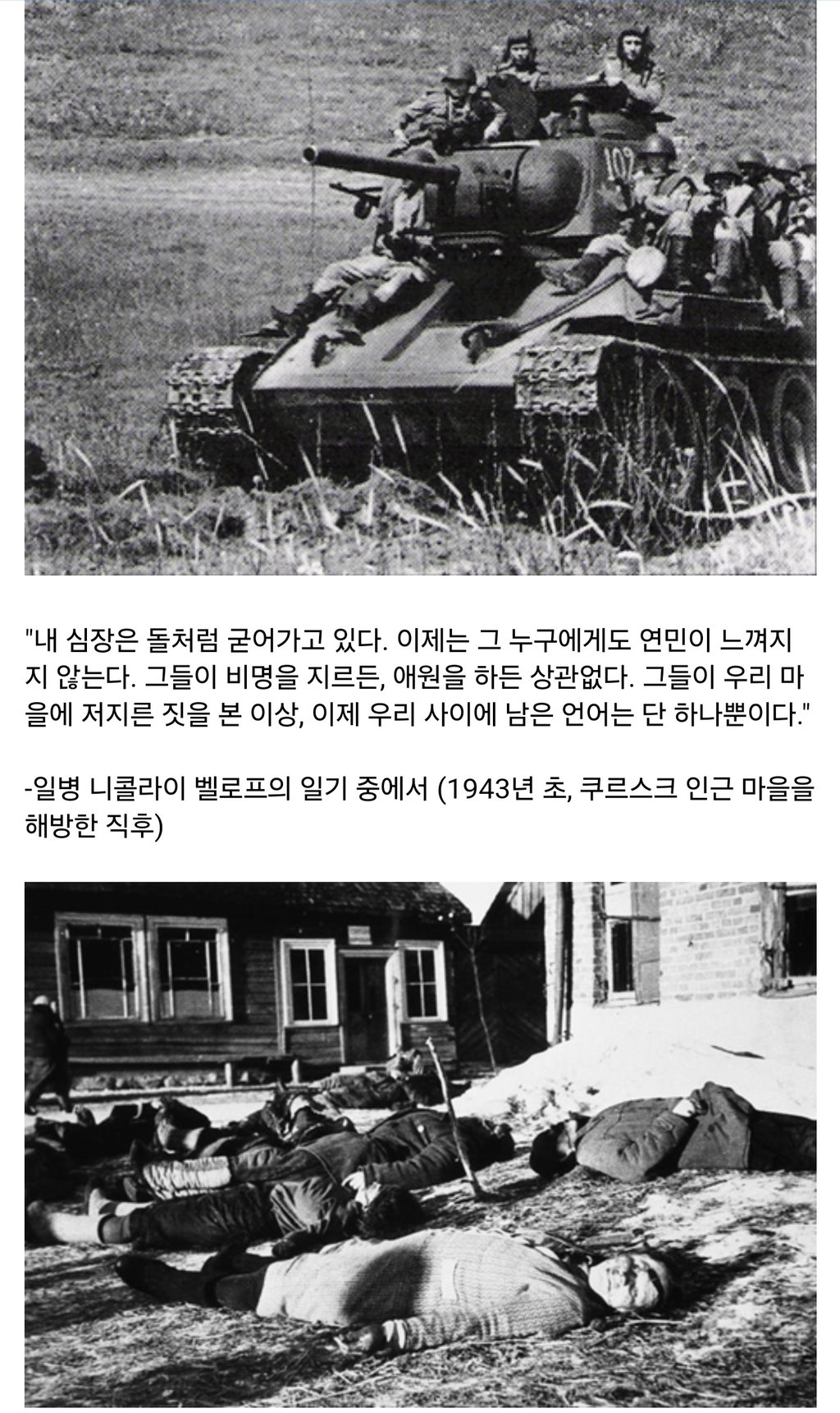 독소전쟁 소련군이 얼마나 개빡쳤었는지 보여주는 어록들 6