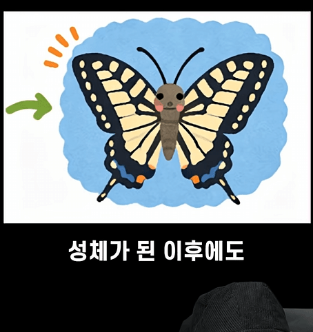 후천적 기억도 유전될 수 있다고??? 4