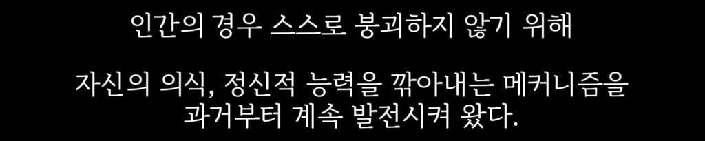 사람은 약간 멍청해야(?) 살아남을 수 있다. 14