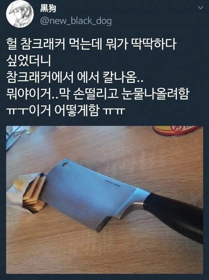 이글 이해되는 사람 ???