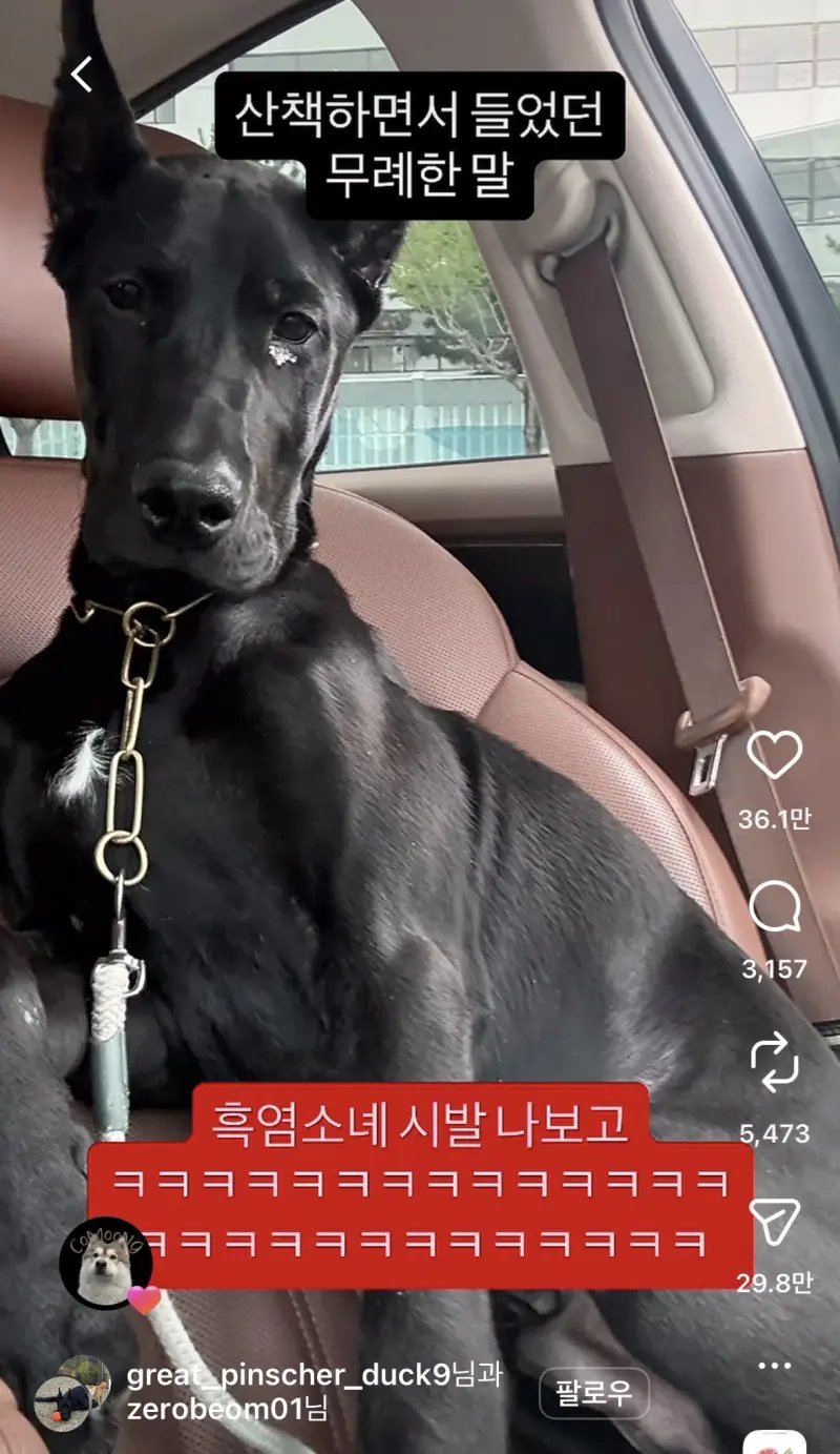 산책하면서 들었던 무례한 말