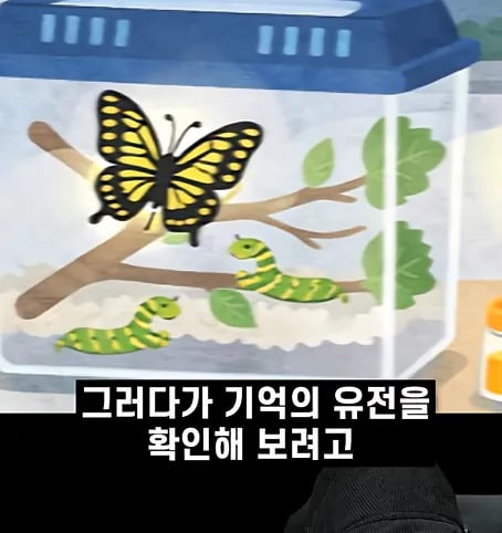 후천적 기억도 유전될 수 있다고??? 17