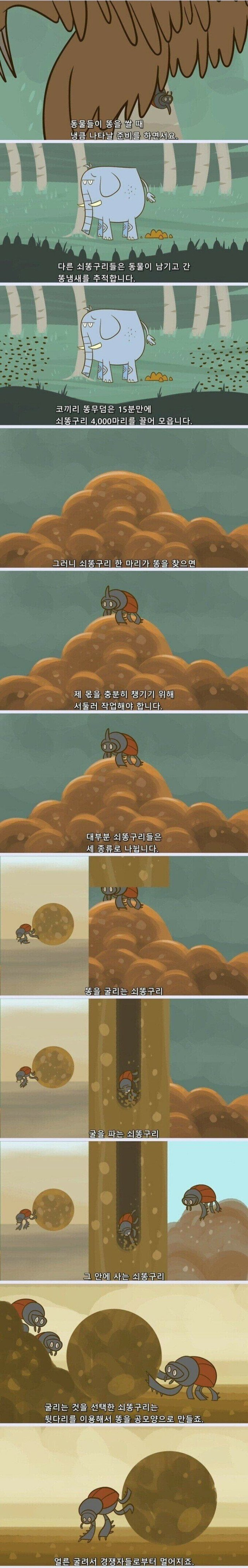 지구가 똥으로 뒤덮히지 않는 이유 (김 주의, 요약O) 2