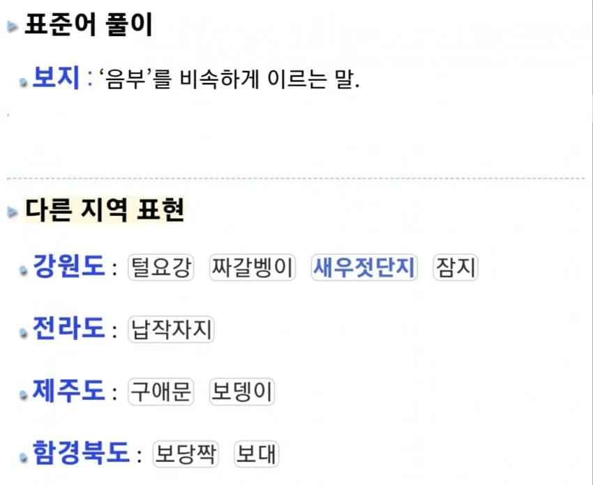 지역별 소중이들 표현