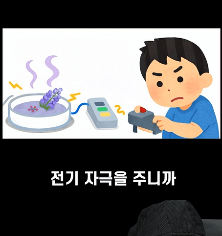 후천적 기억도 유전될 수 있다고??? 11