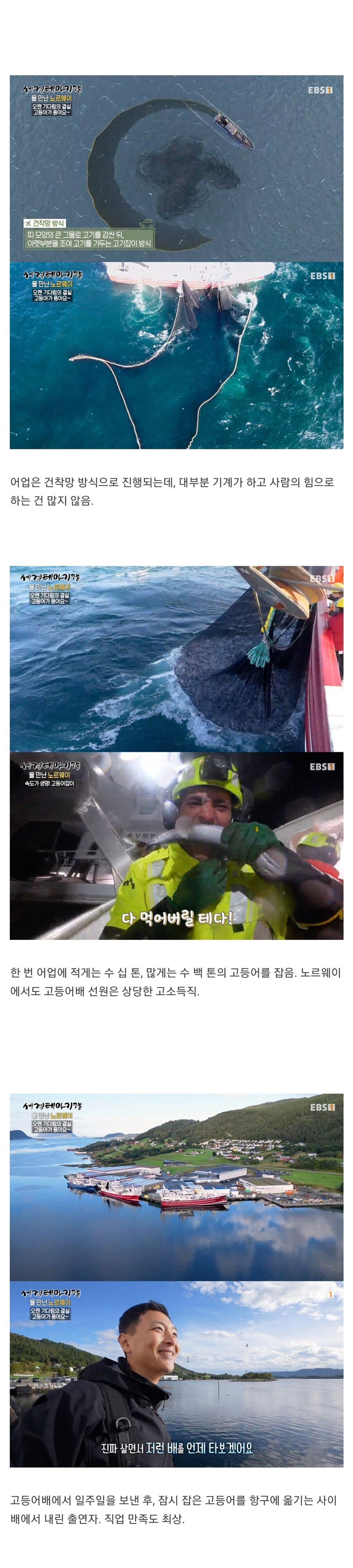 노르웨이 고등어 잡이 2