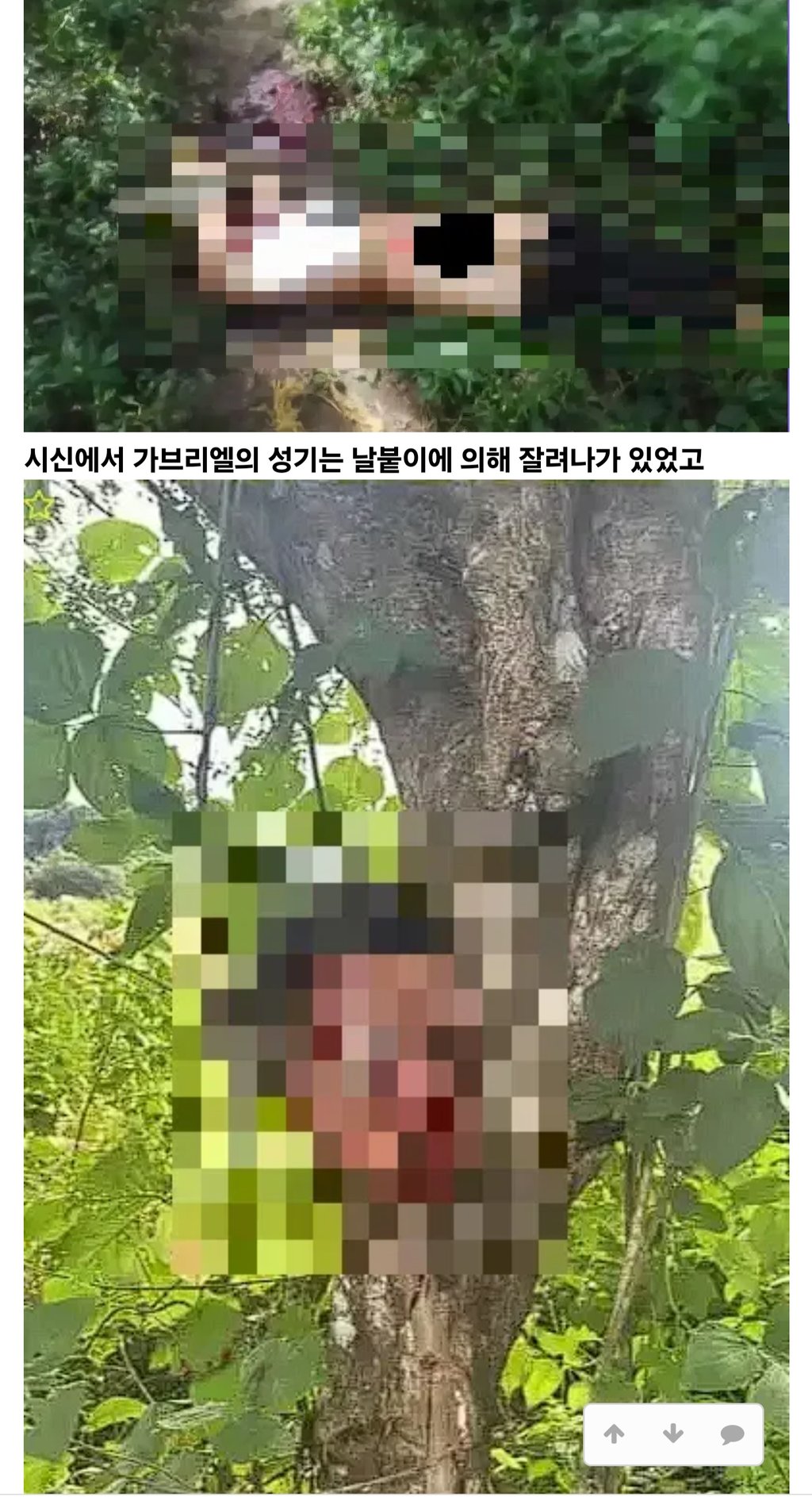 밍게오 마을 3세 여아 살인사건 17