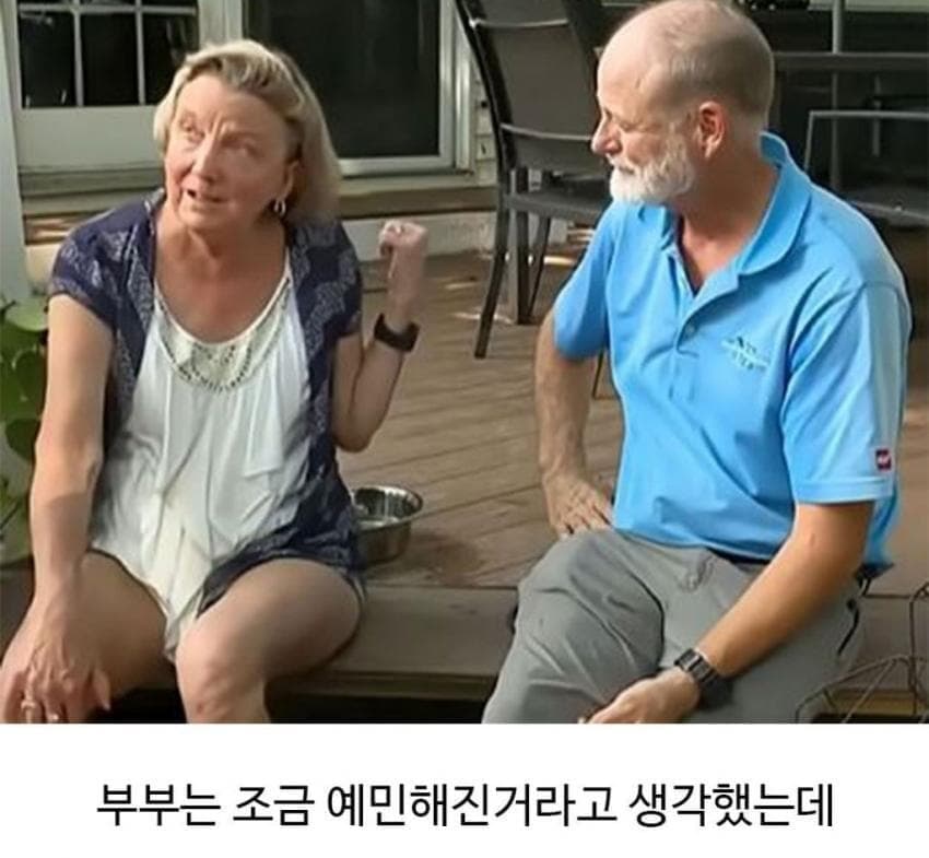 미용실 다녀온 후 예민해진 찹츄 4