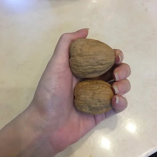고자가 되어버린 사람들 15