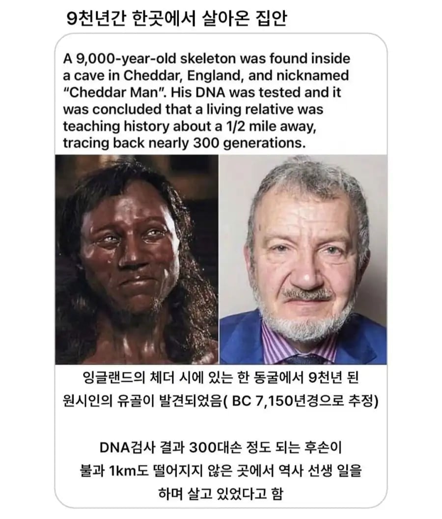 신기방기 9천년간 한곳에 산 집안