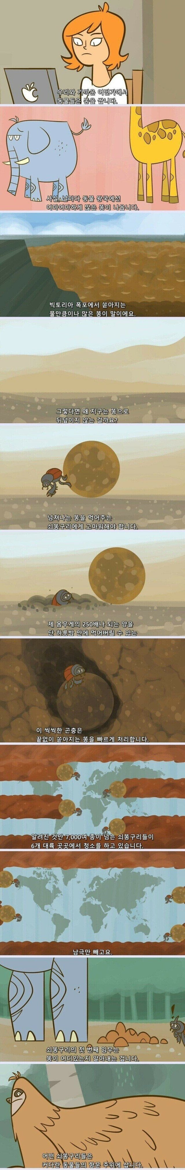 지구가 똥으로 뒤덮히지 않는 이유 (김 주의, 요약O) 1