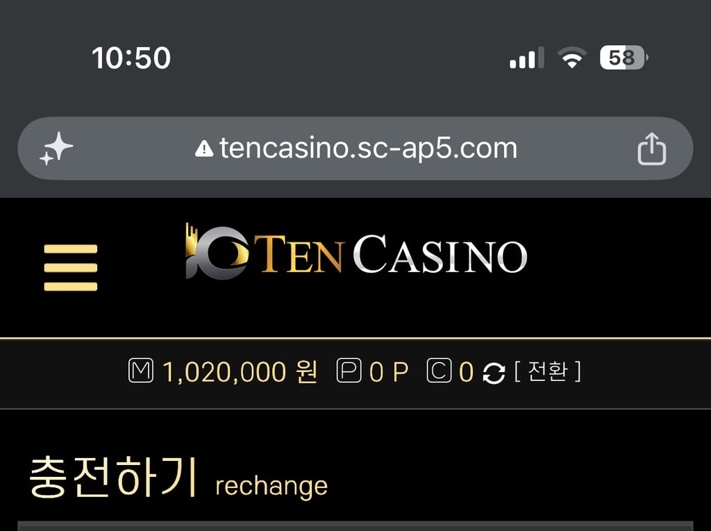 하루의 마무리 100충