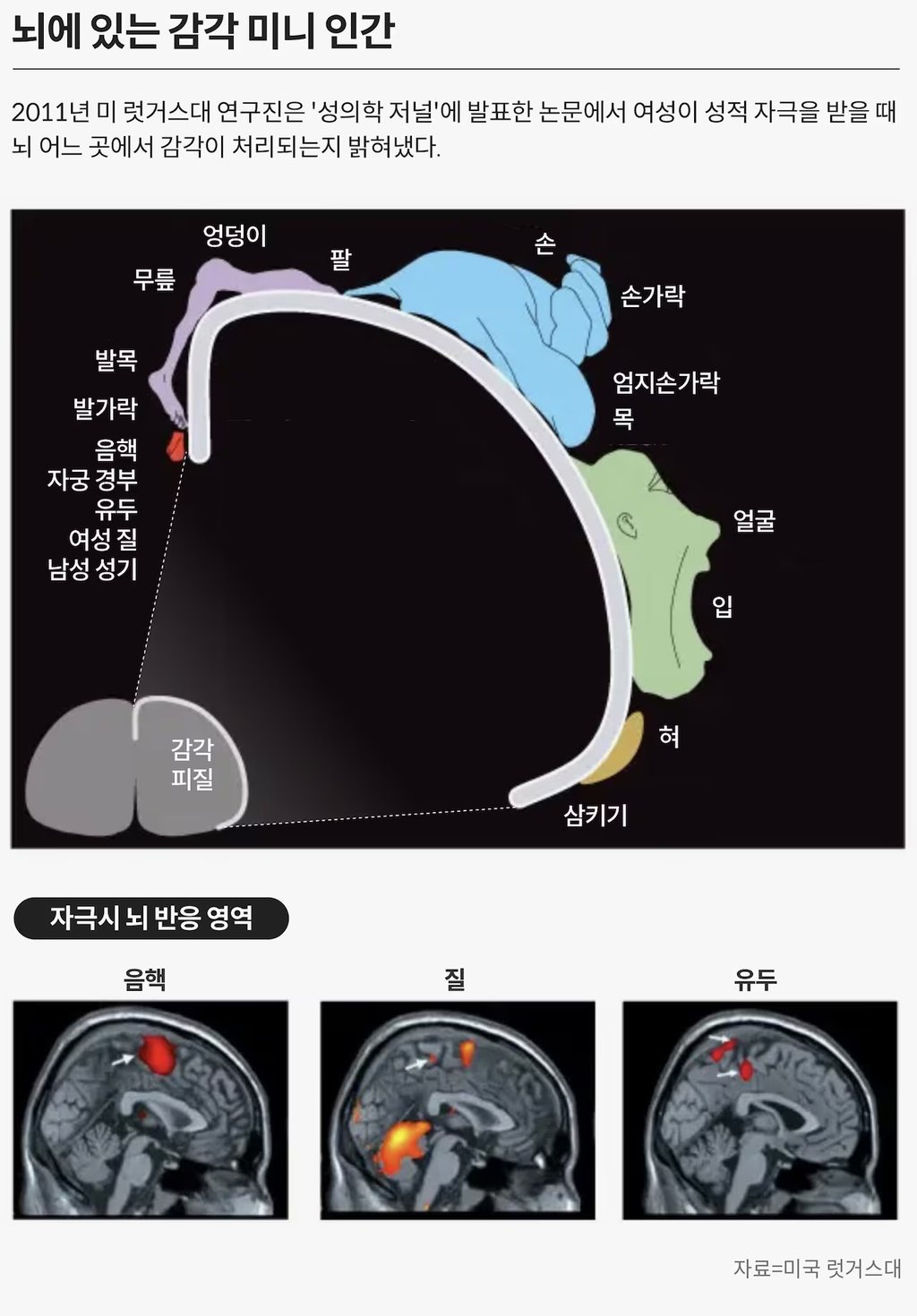 왜 젖가슴에 인간은 집착을 할까 3