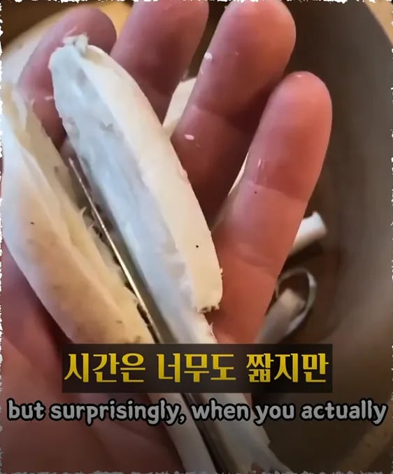 진짜 먹어도 되나요 ?? 3