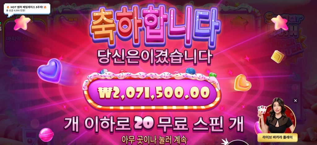 슈가 슈스 2071배