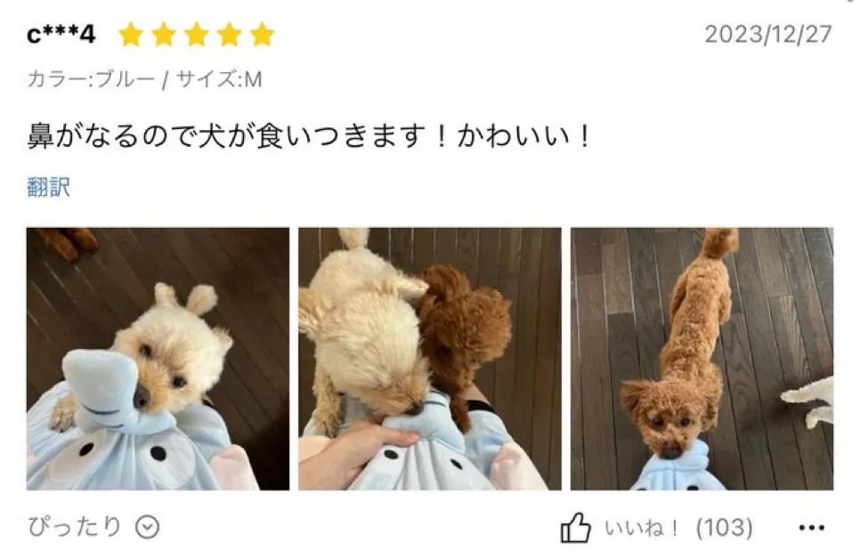 고추달린 바지를 사야하는 이유 2