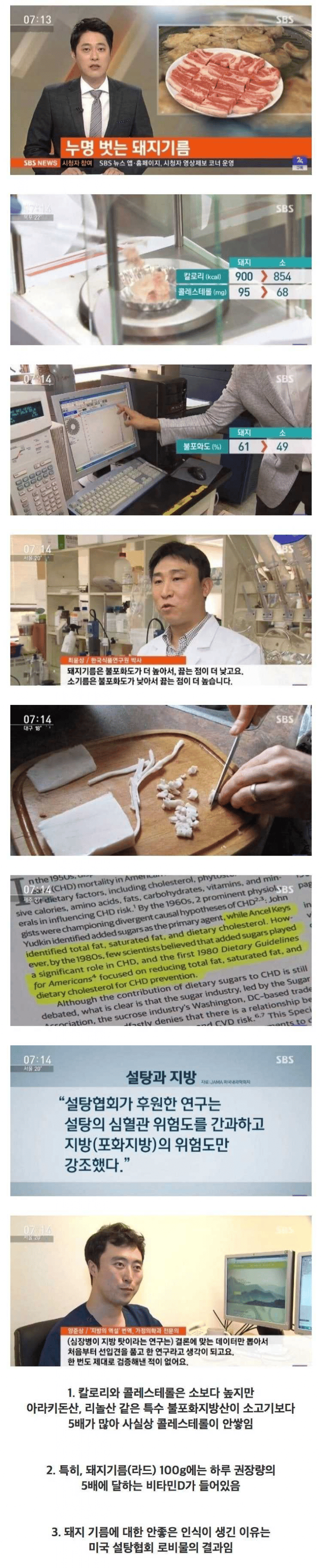 돼지고기 비계가 건강에 좋은 이유