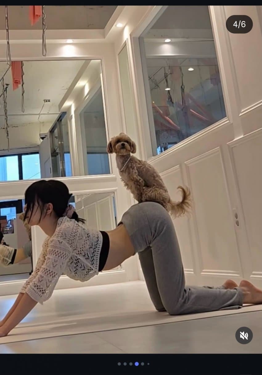 주안 방해하는 강아지 2