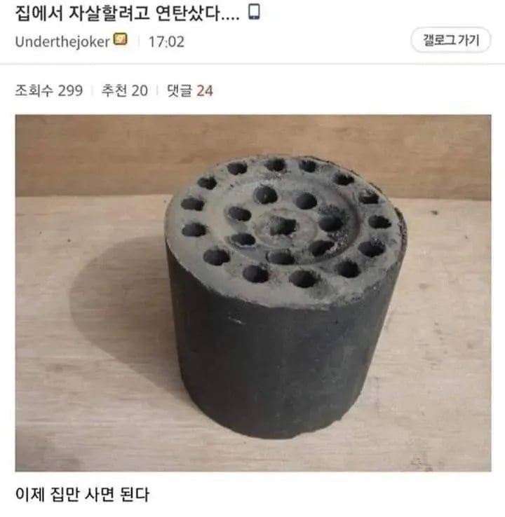 집에서 자살하려고 연탄 구매한 디씨인