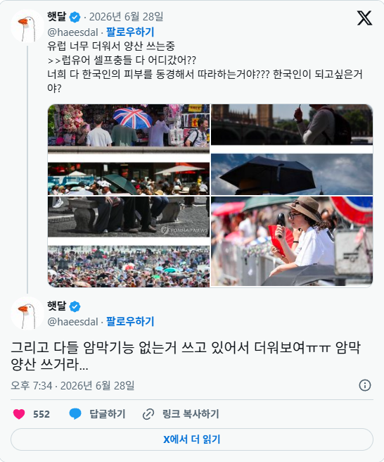 한국인 양산 쓰는 이유가 백인우월주의? 근황 ㄷㄷ 3