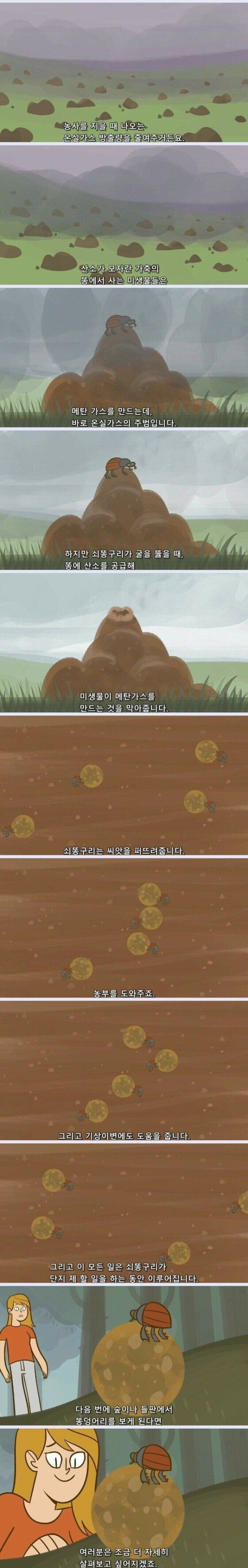 지구가 똥으로 뒤덮히지 않는 이유 (김 주의, 요약O) 7