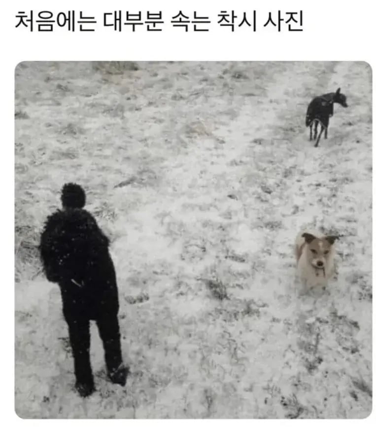 착시 사진 레전드 ㅋㅋ
