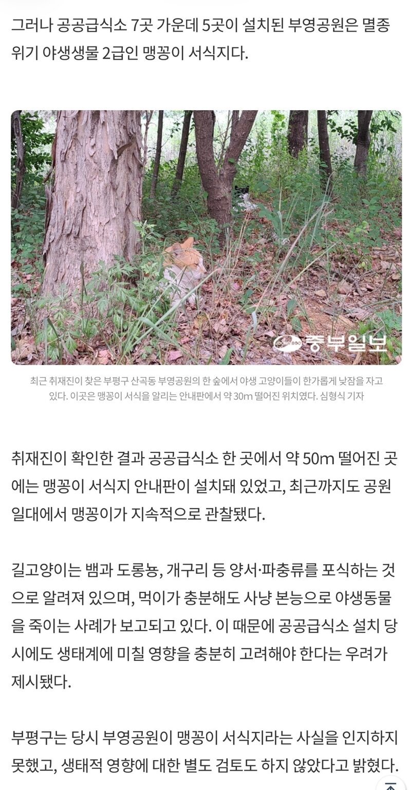 세금으로 멸종위기종 맹꽁이서식지에 고양이급식소 설치 2
