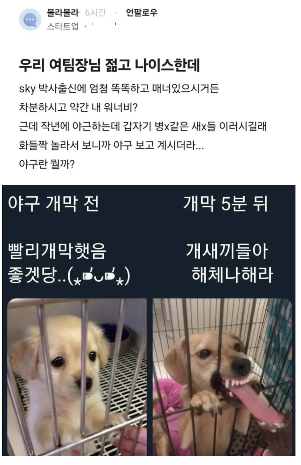 우리 팀장님 젊고 sky 박사 출신인데..