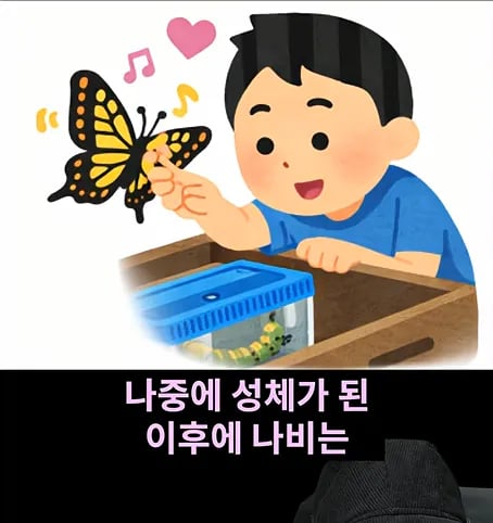 후천적 기억도 유전될 수 있다고??? 12