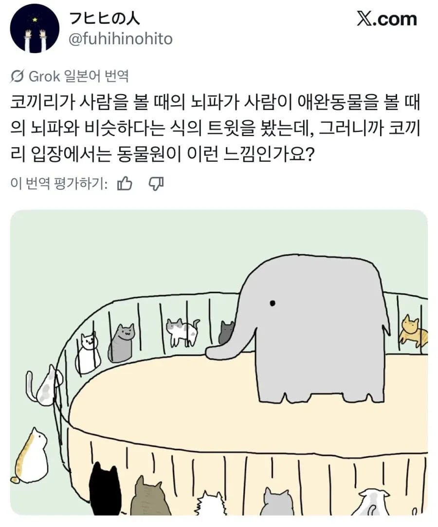 사람 오는 시간만 기다린다는 동물 2