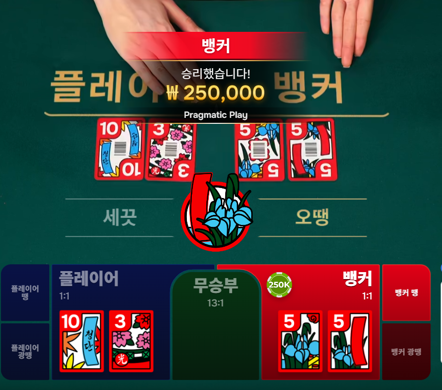 텐카지노 후기