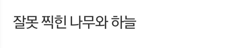 약혐) 아우슈비츠 가스실 주변에서 일어나는일을 촬영한 유일한 사진 10
