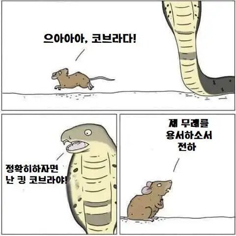 독사 해독제 개발 위해 스스로 독을 주입한 남자 16