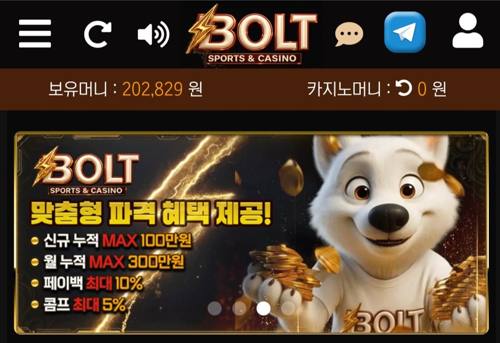 볼트카지노 후기 1