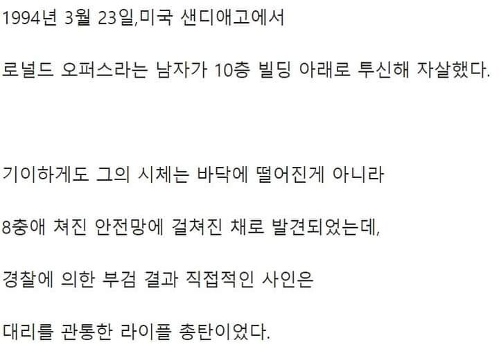 진실이 밝혀지지 않은 복잡한 자살 사건 2