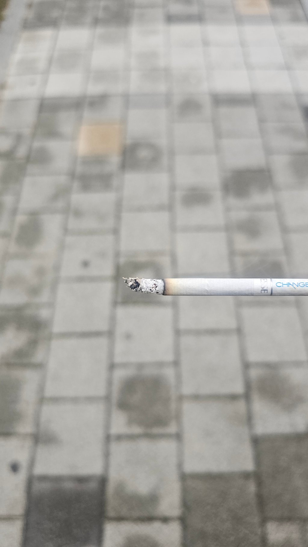 찐으로 담타 ㄱㄱ