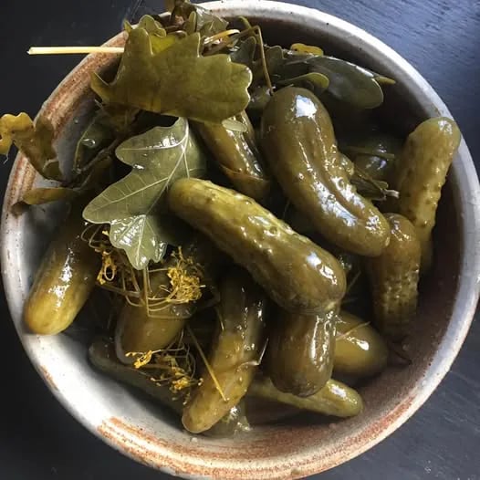 의외인 오크나무의 용도 1