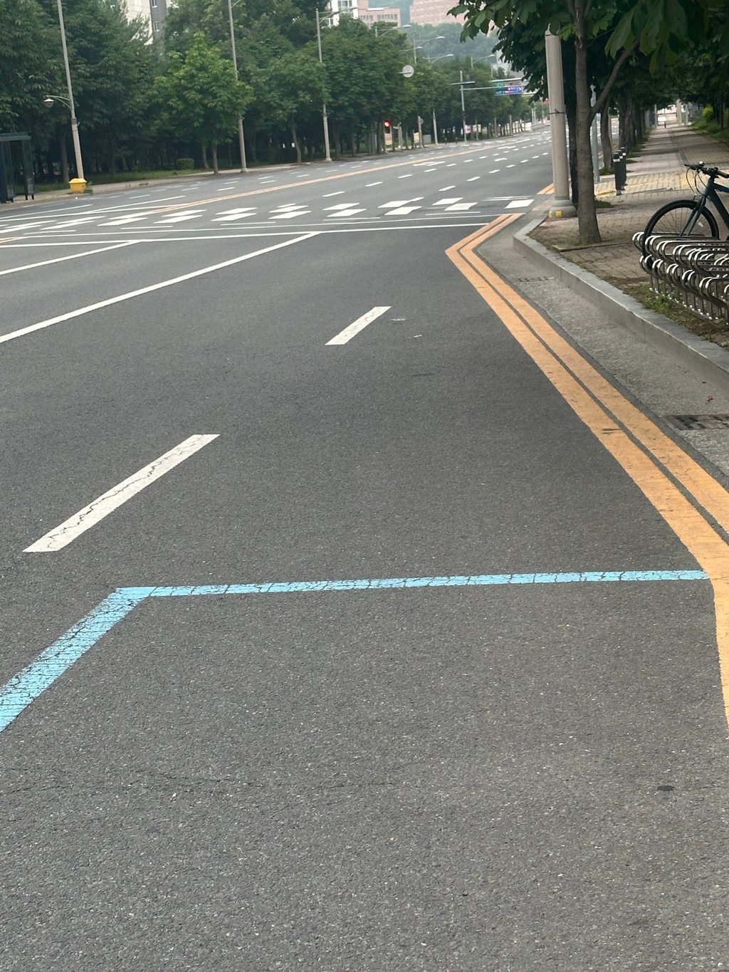 도로에 개미 한마리도 없음