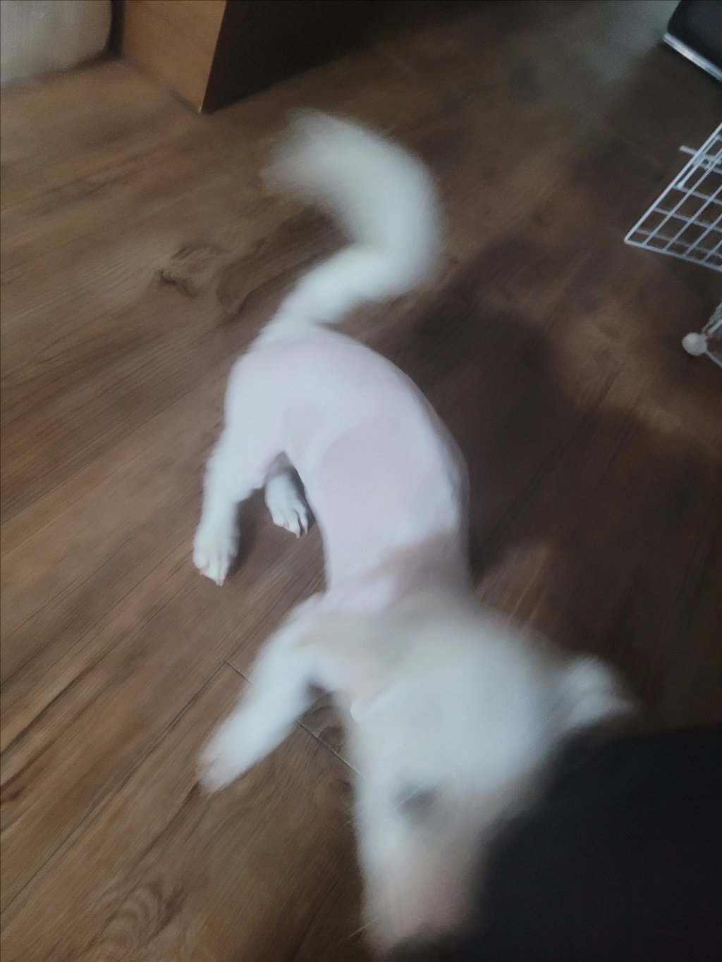 사고쳤다 ;