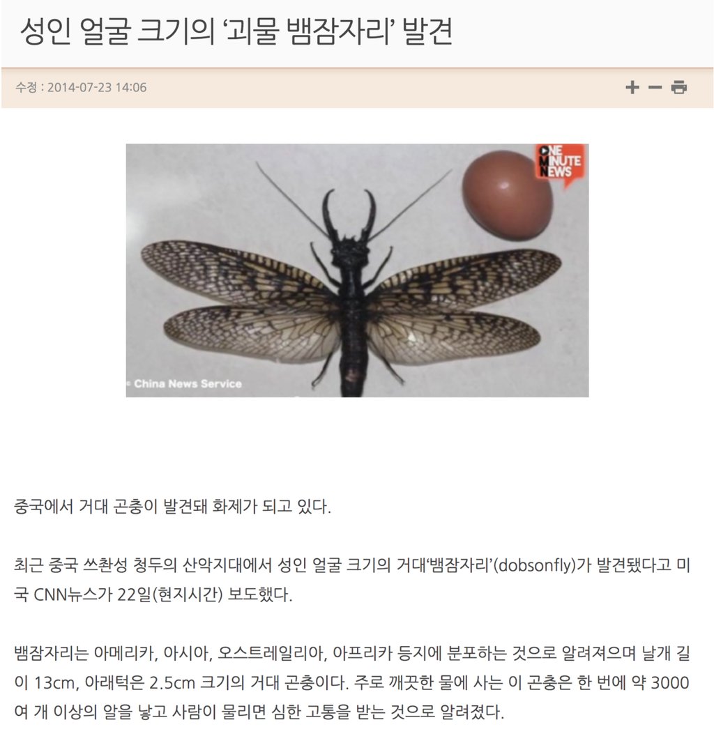 지구에 생존하는 신기한 잠자리 4