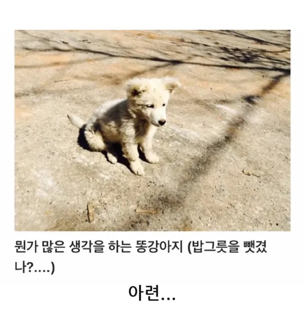 무시무시한 대한민국 시골 7